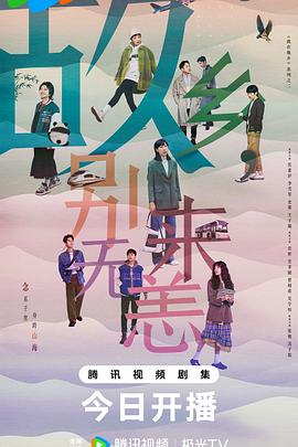 怎么优化自己网站的关注